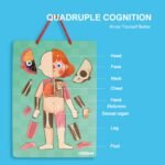 Human Body Magnetic Puzzle - Image 5