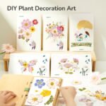 Nature Art Discovery Collection - Image 5