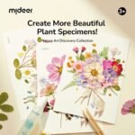 Nature Art Discovery Collection - Image 11