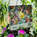 Artist Puzzle-Circus Fantasia 352pcs - Image 2