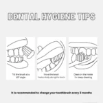 Toddler Dental Care Toothbrush - Forest Brown - Image 2