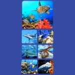 Mideer – 3D Film scope Picture Viewer – Educational Exploration Set - Image 3
