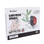 Montessori LadyBug Tudy Game Set
