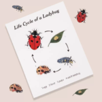 Montessori LadyBug Tudy Game Set - Image 4