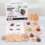 Montessori LadyBug Tudy Game Set - Image 3