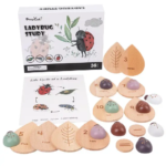Montessori LadyBug Tudy Game Set - Image 2