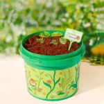 Mideer - Thriving Vines Bucket - Image 3