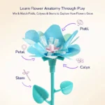Mideer -  Click & Bloom Florist - Image 8
