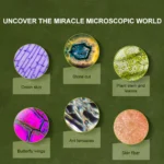 Mideer - Exploring With Microscope - Image 6